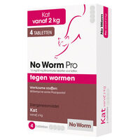no worm 4 kat