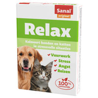 relax hond kat