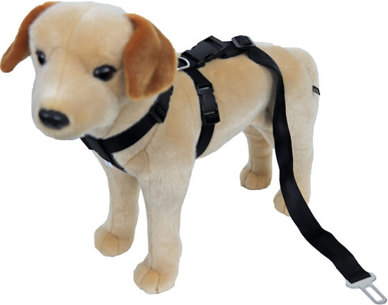 Boon Veligheidstuig met Gordel Auto XL