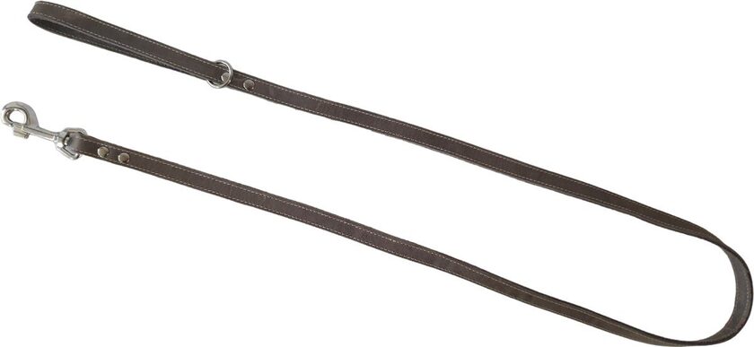 Jack and vanilla leash smal