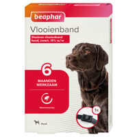 vlooienband hond