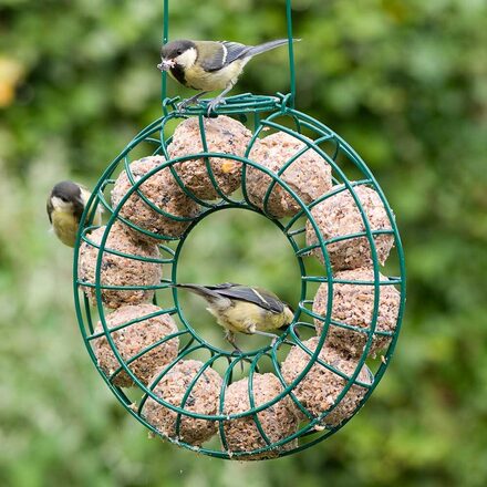 Boon mezenbolhouder rond 1