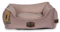 Misty Rose 60
