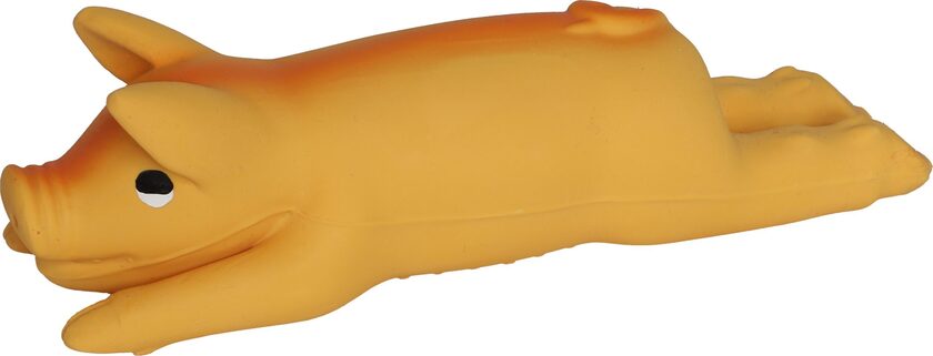 Varken latex klein 1