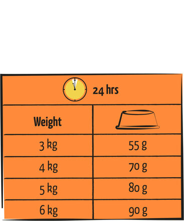 Lara kip 1,9 1