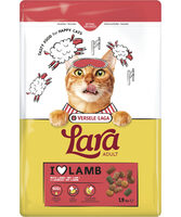 Lara lam 1,9