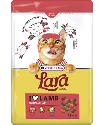 Lara lam 1,9