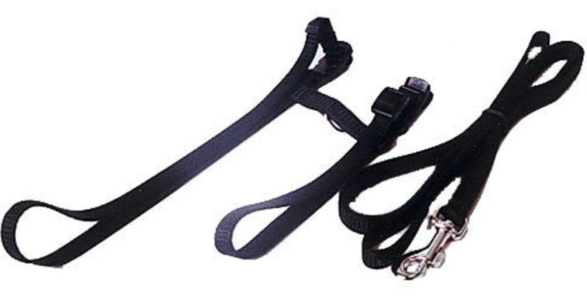 Boon Nylon Kattentuig met Lijn 1