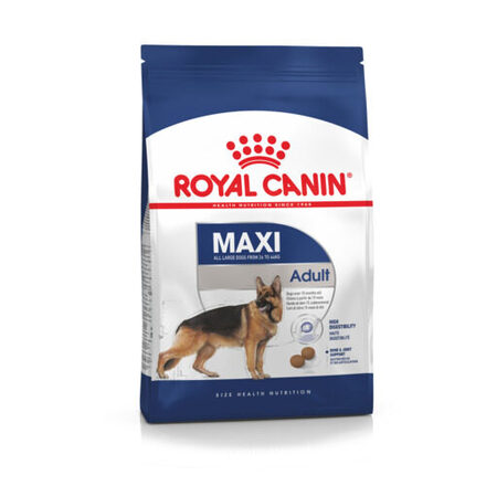maxi adult rc