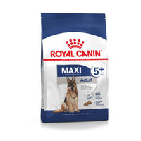 maxi adult 5 