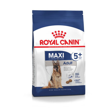 maxi adult 5 