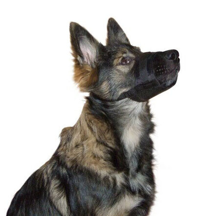 Mikki Muzzle Muilband 2