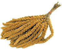 Trosgierst 1 kg