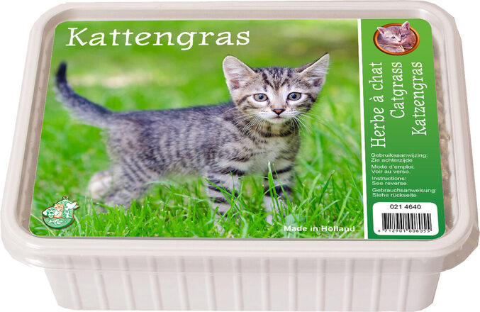 kattenfras