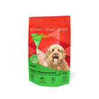 Energique Volwassen Hond 1