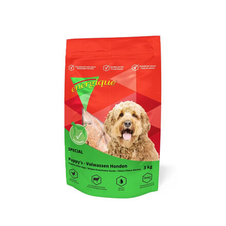 Energique Volwassen Hond 1